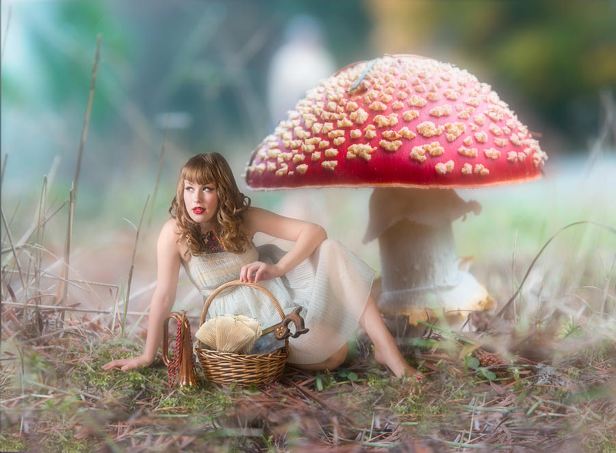 Mushroom Photograph - Mushroom Picker by Derek Galon