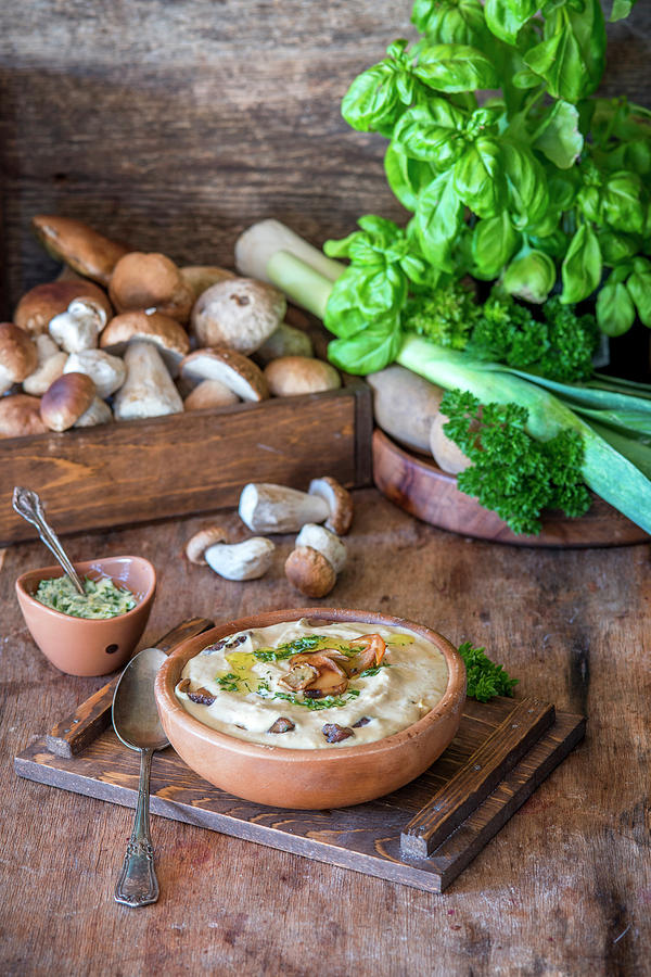 Mushroom, Potato And Leek Cream Soup Photograph by Irina Meliukh