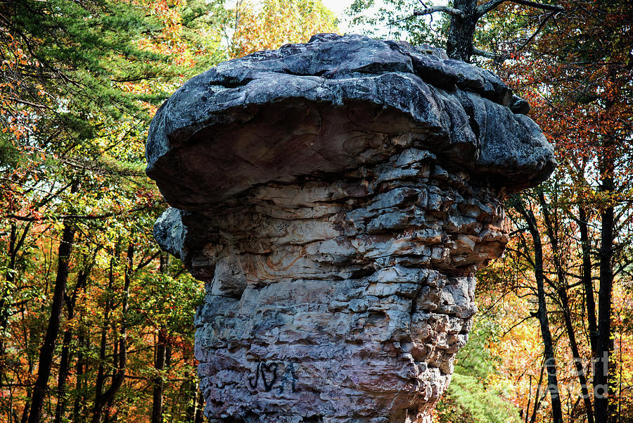 Mushroom Rock Endures Photograph