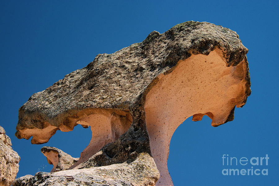 Mushroom Rock Three Photograph by Bob Phillips