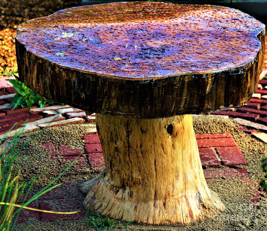 Mushroom Table Photograph by Merle Grenz