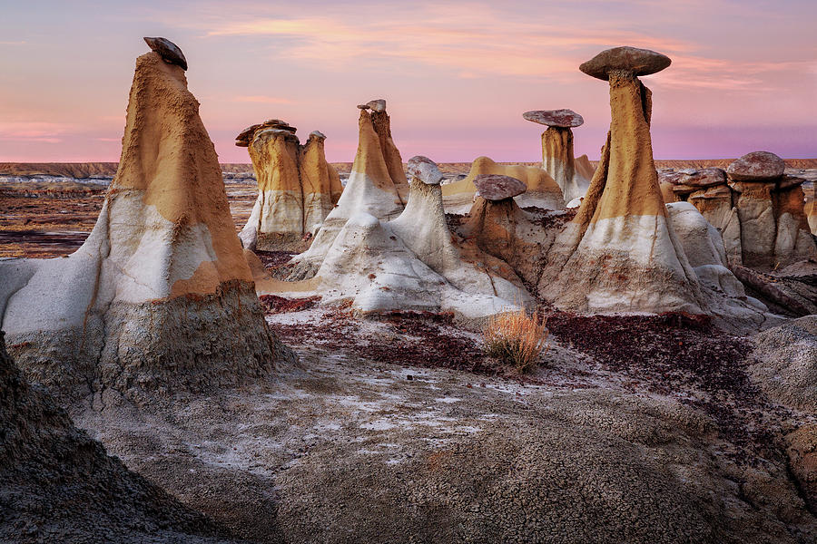 Mushroom Valley at Ah-Shi-Sle-Pah Badlands  Photograph by Alex Mironyuk