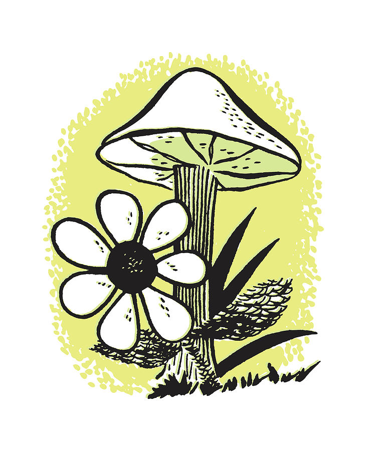 Daisy Drawing - Mushroom with Flower by CSA Images
