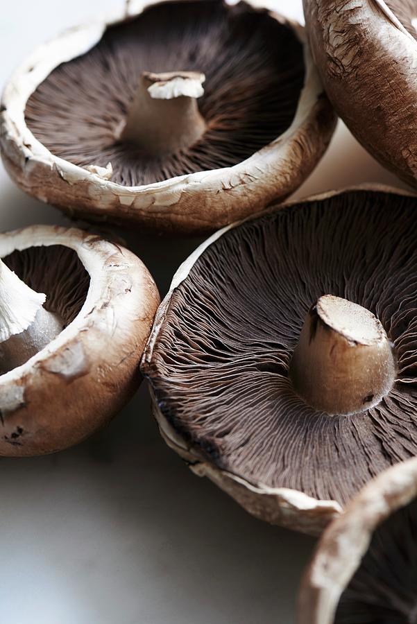 Mushrooms And Portobello Mushrooms close-up Photograph by Amanda Stockley