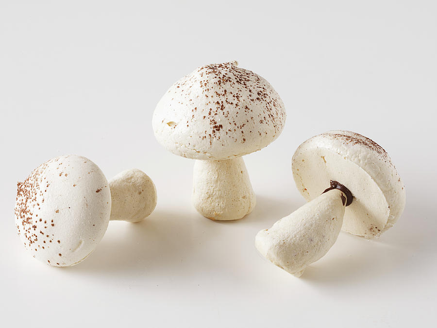 Mushrooms Photograph by Carin Krasner