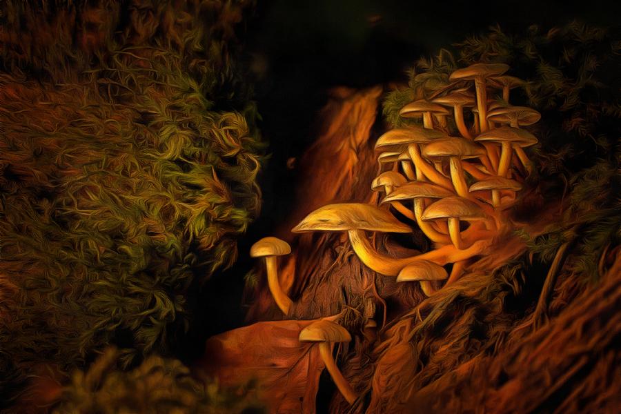 Mushrooms Painting by Harry Warrick