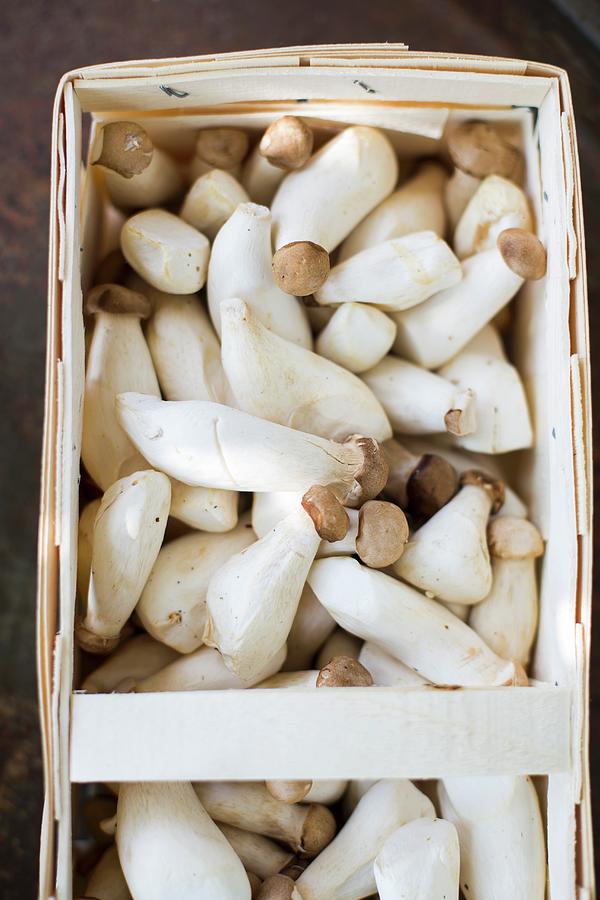 Mushrooms In A Wooden Basket Photograph by Eising Studio