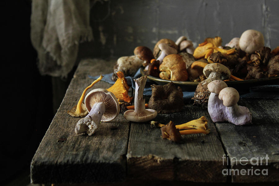 Mushrooms On A Table Photograph by Patrizia Miceli