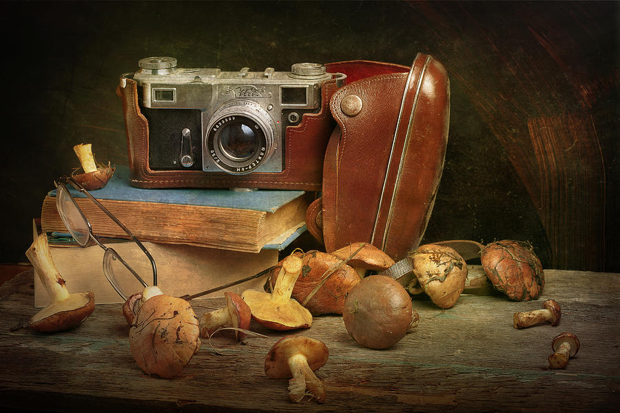 Still Life Photograph - Mushrooms by Stanislav Aristov
