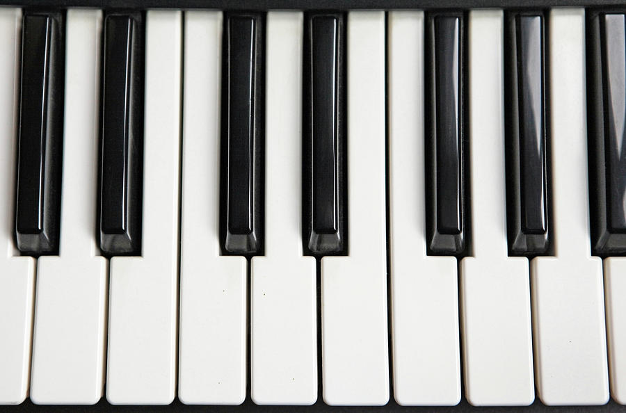 Musical Keyboard Photograph by Richard Newstead
