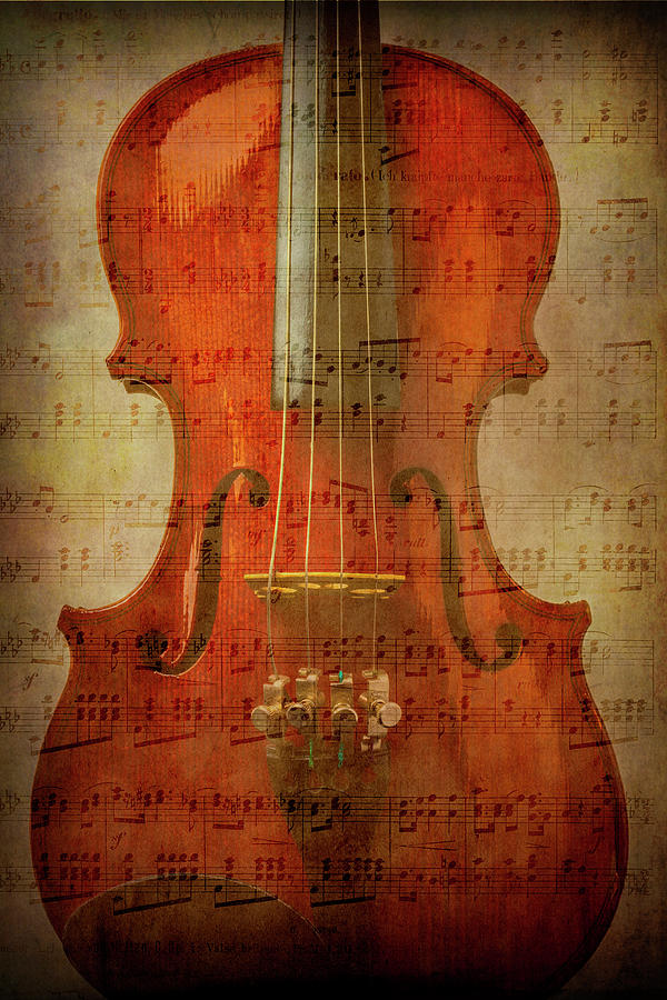 Musical Note Violin Photograph by Garry Gay