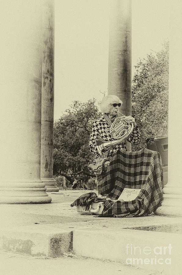 Musician In City Park Nola Photograph