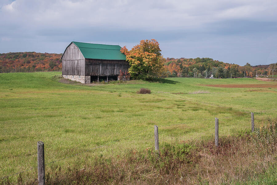 Fall Photograph - Muskoka Barn by Andrew Wilson