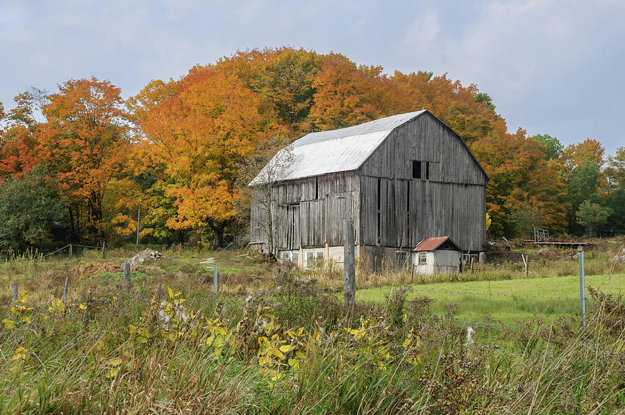 Muskoka Barn In Autumn Photograph by Andrew Wilson