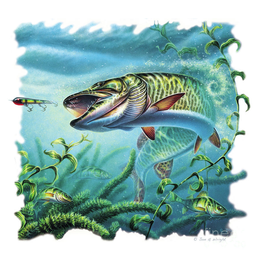 Картины на тему рыбалка