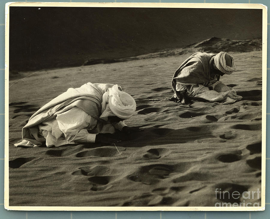 Muslims Praying In Sahara Desert Photograph by Bettmann