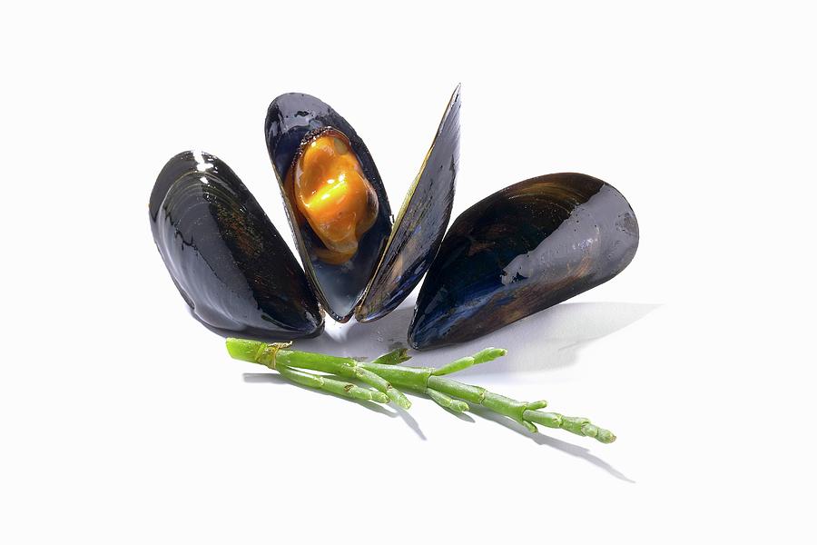 Mussels Photograph by Alessandra Pizzi