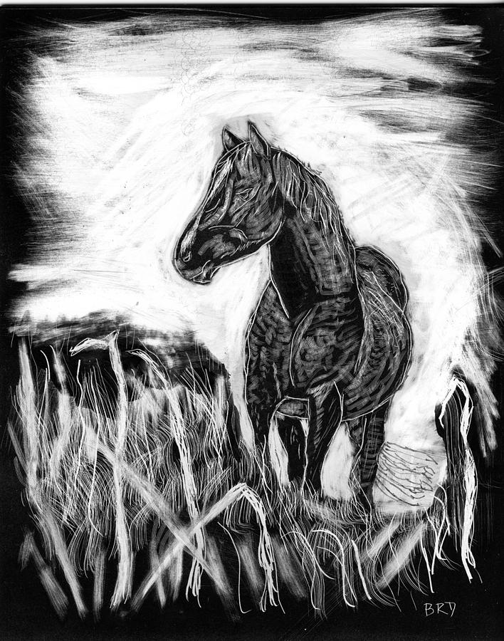 Mustang Drawing by Branwen Drew