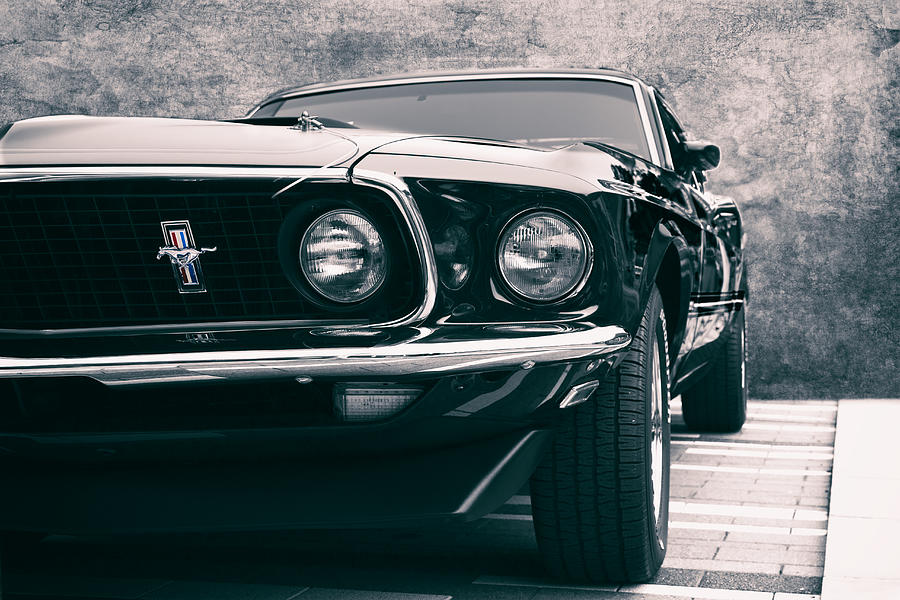 Mustang Dream Photograph by Carrie Hannigan
