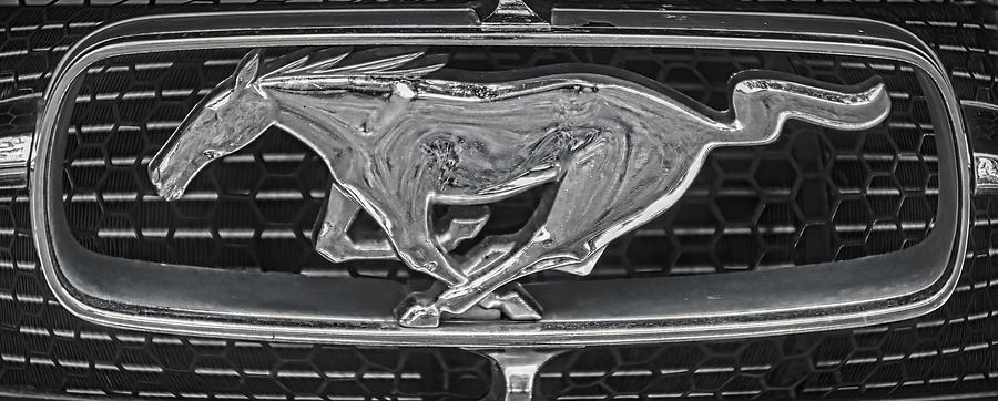 Mustang Emblem Photograph by Stefano Senise