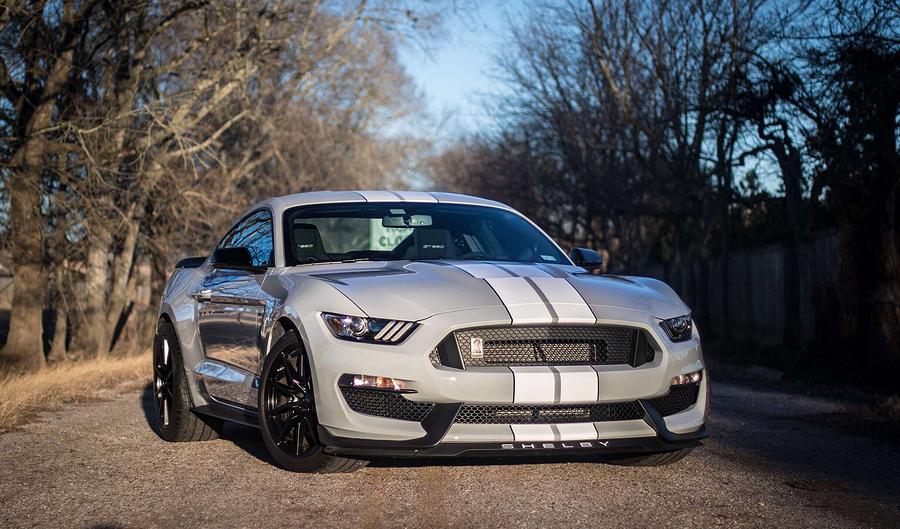 Mustang GT 350 Photograph by Rocco Silvestri