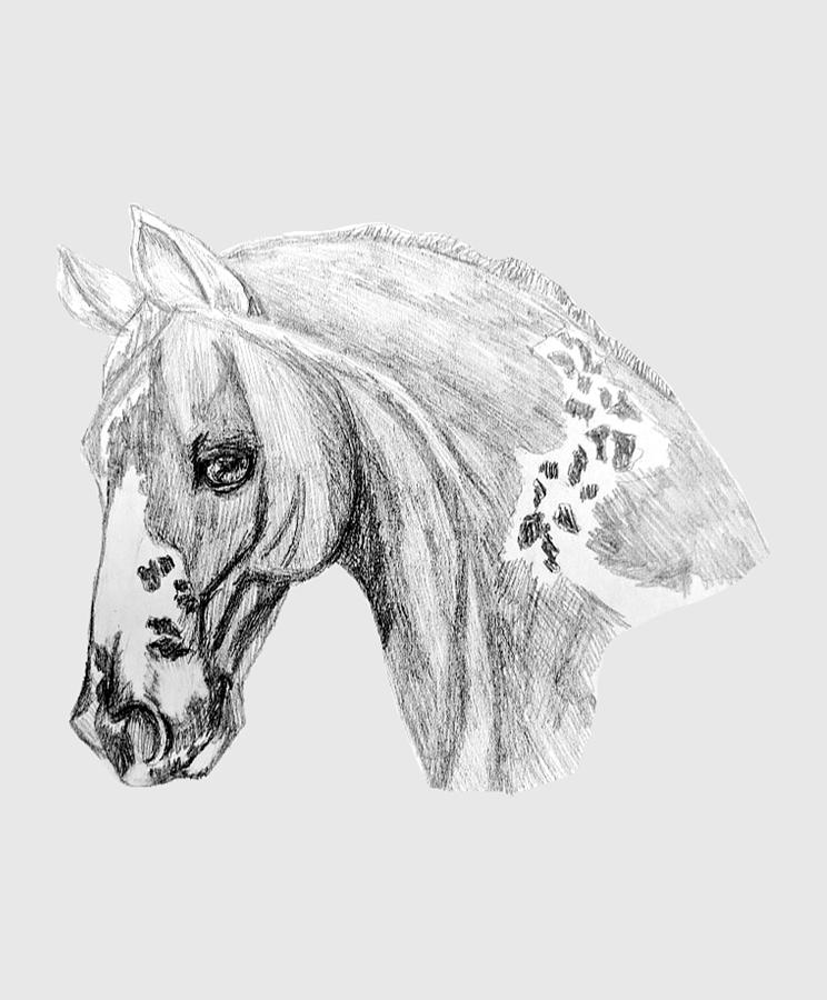 Mustang Head Portrait Drawing by Equus Artisan