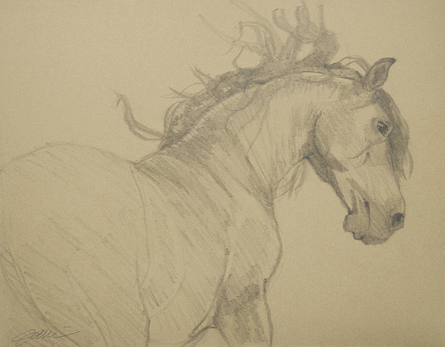 Mustang Drawing