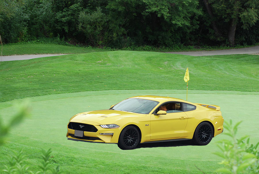Mustang On Golf Course Photograph by Ee Photography