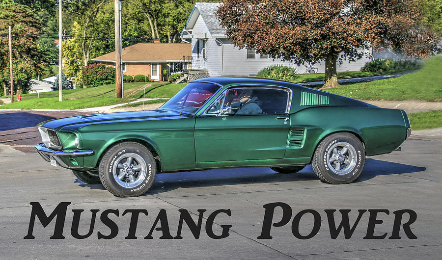 Mustang Power Photograph by J Laughlin