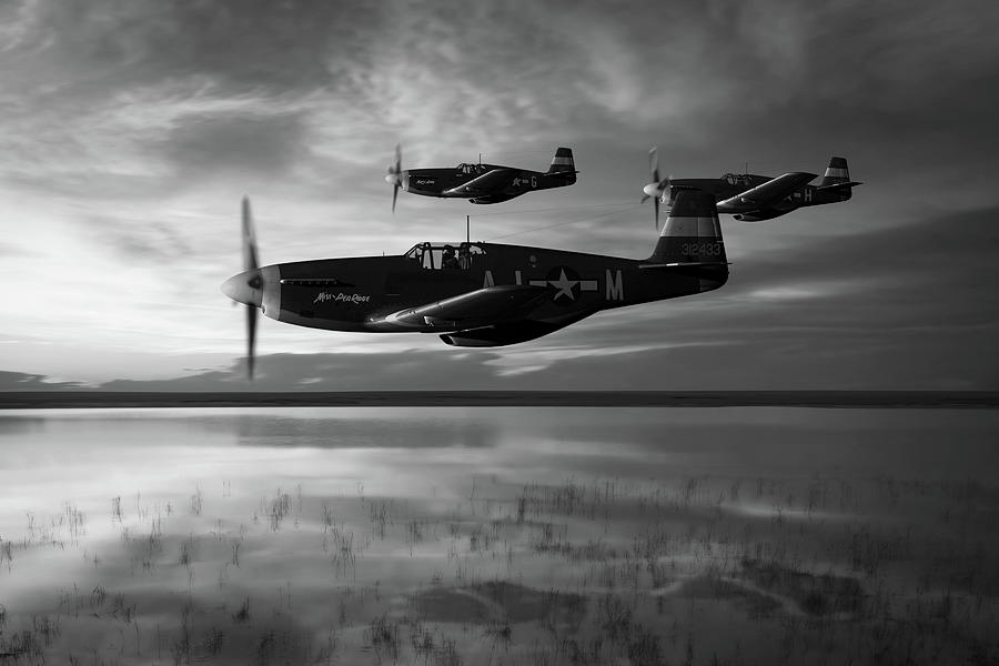 Mustang Reflections - Monochrome Digital Art by Mark Donoghue