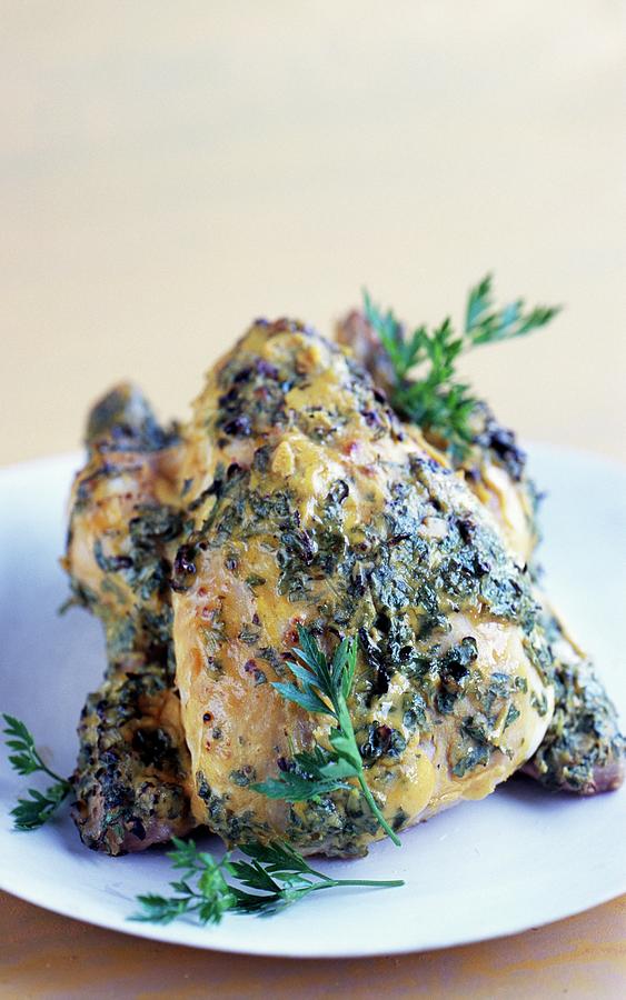 Mustard Chicken Photograph by Paquin
