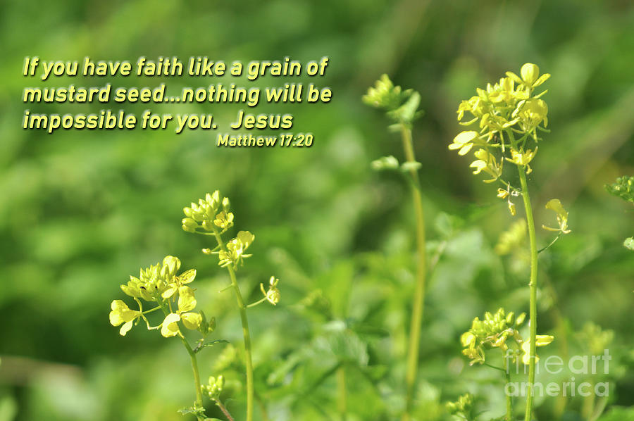 faith as a grain of mustard seed