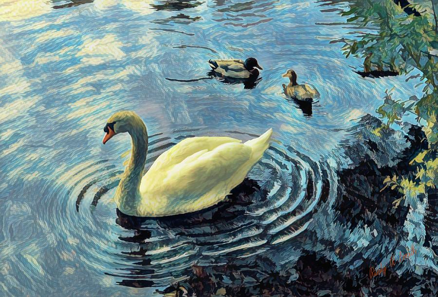 Mute swan and mallard ducks. by Rusty R Smith Mute swan and mallard ducks. by Rusty R Smith
