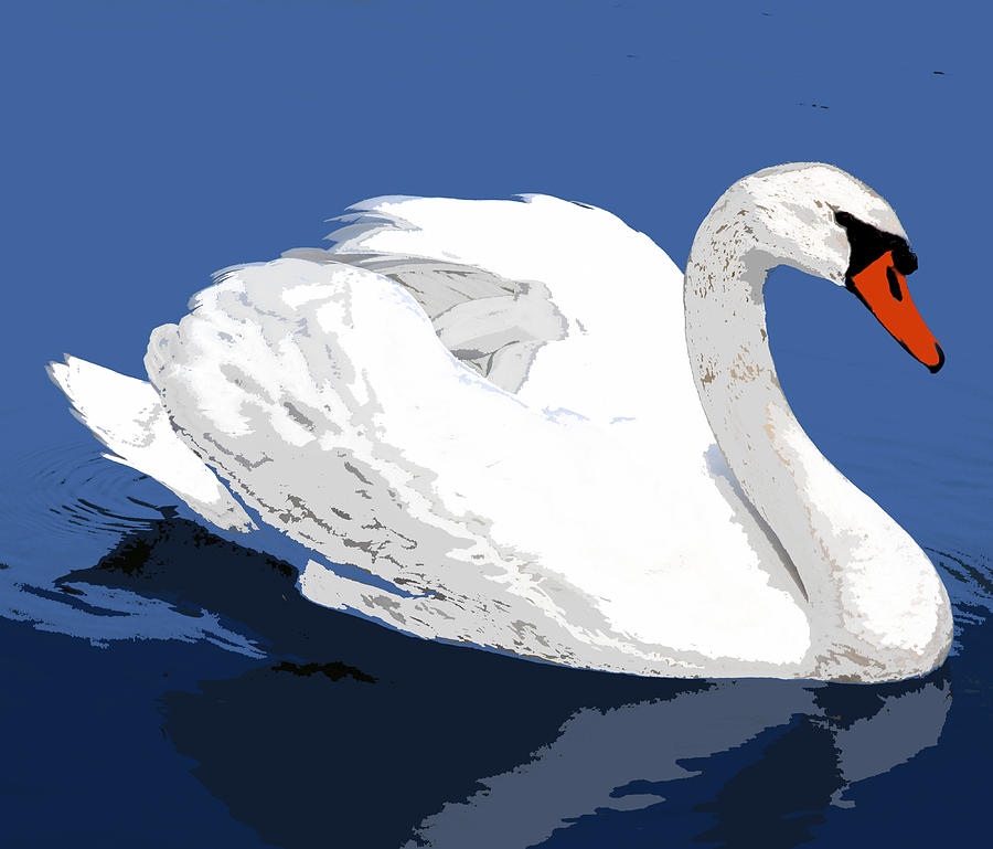 Mute Swan Digital Art by Ernest Smith - Fine Art America