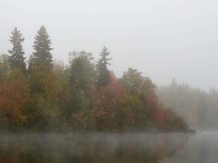 Muted Colors Of October Morning Photograph