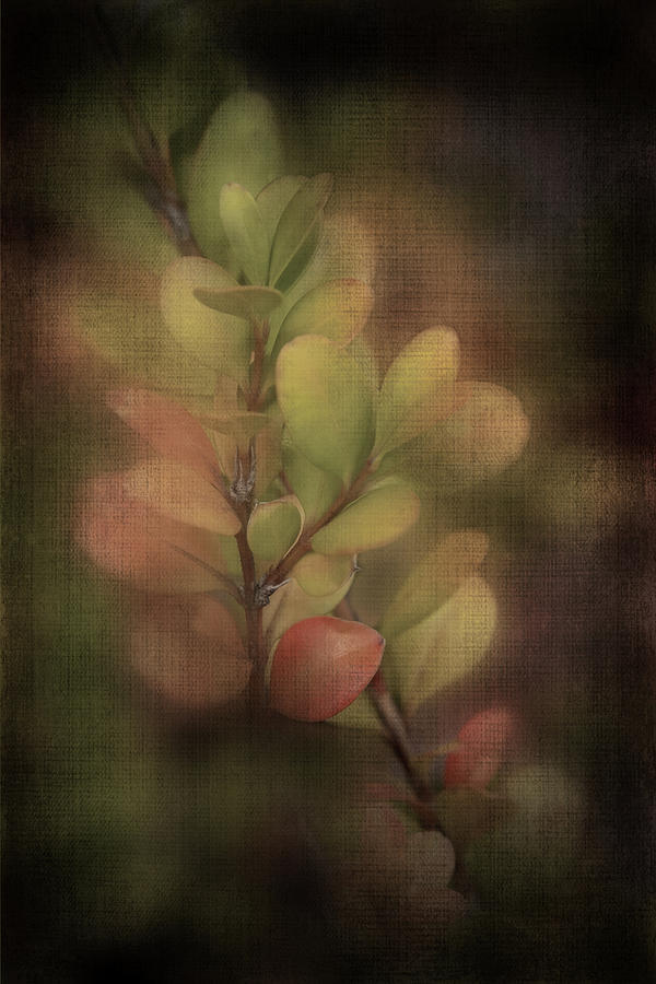Muted Leaves Digital Art by Terry Davis