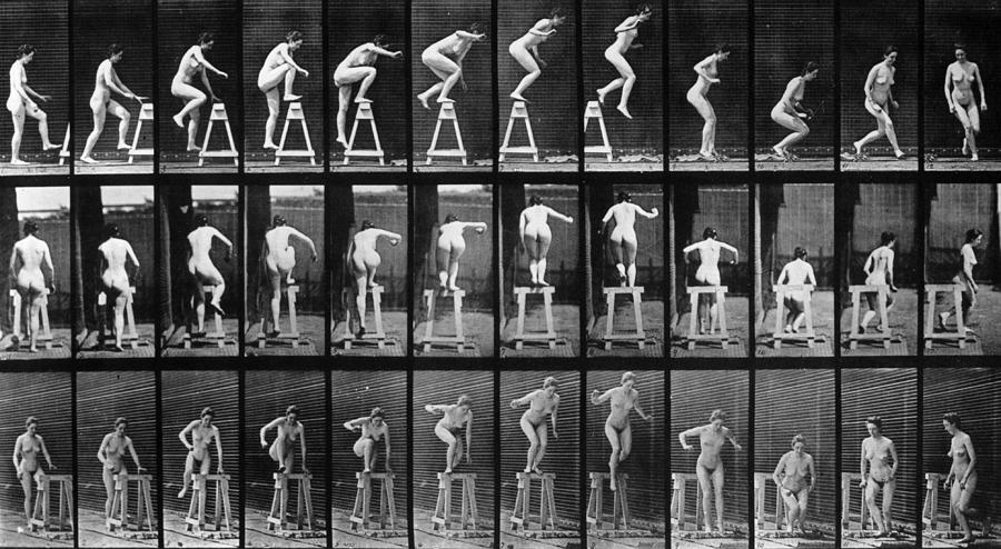 Muybridge Photograph Photograph by Eadweard Muybridge