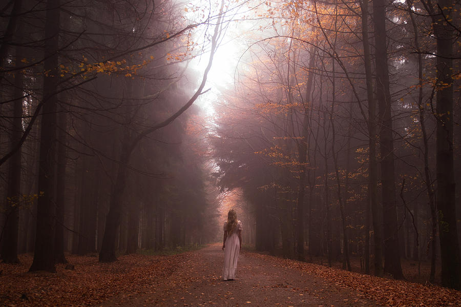 My Autumn Forrest Photograph by Gabriela Slegrova