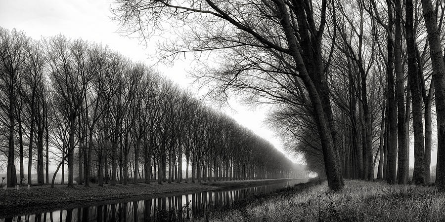 Tree Photograph - My Beautiful Flat Land... by Yvette Depaepe