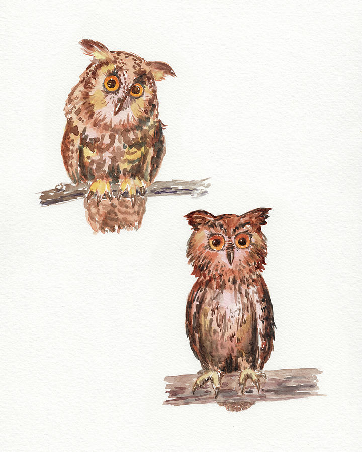 My Branch Is Higher Watercolor Owls Painting by Irina Sztukowski