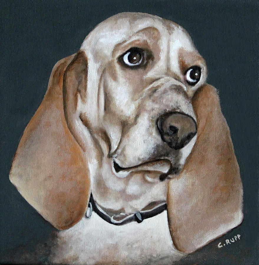 My Dog George Painting By Carol J Rupp
