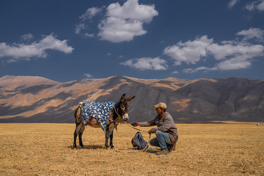 My Donkey Eastern Turkey Photograph by Corinne Spector