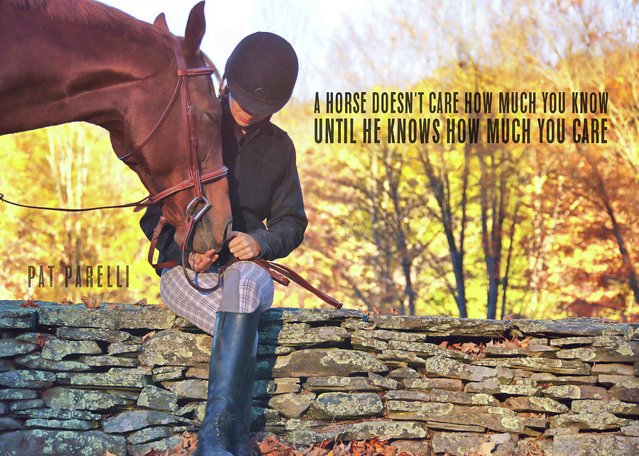 MY FAIR LADY quote Photograph by Dressage Design