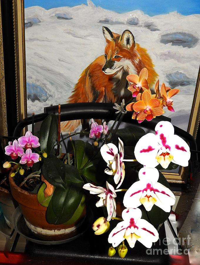 My Fox Painting and Orchids Photograph by Phyllis Kaltenbach