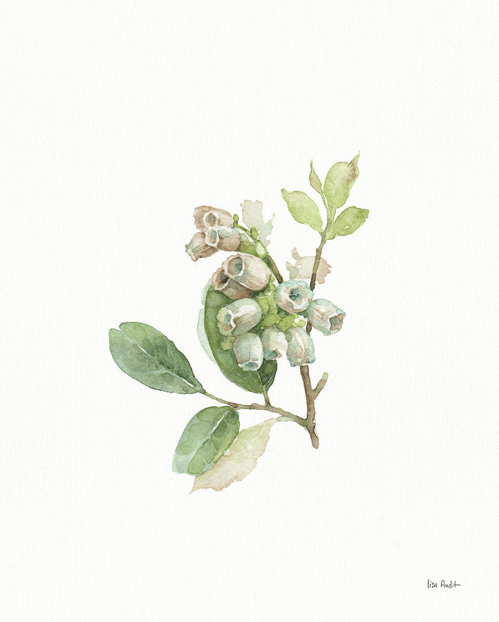 Blueberry Painting - My Greenhouse Blueberry Blossom by Lisa Audit