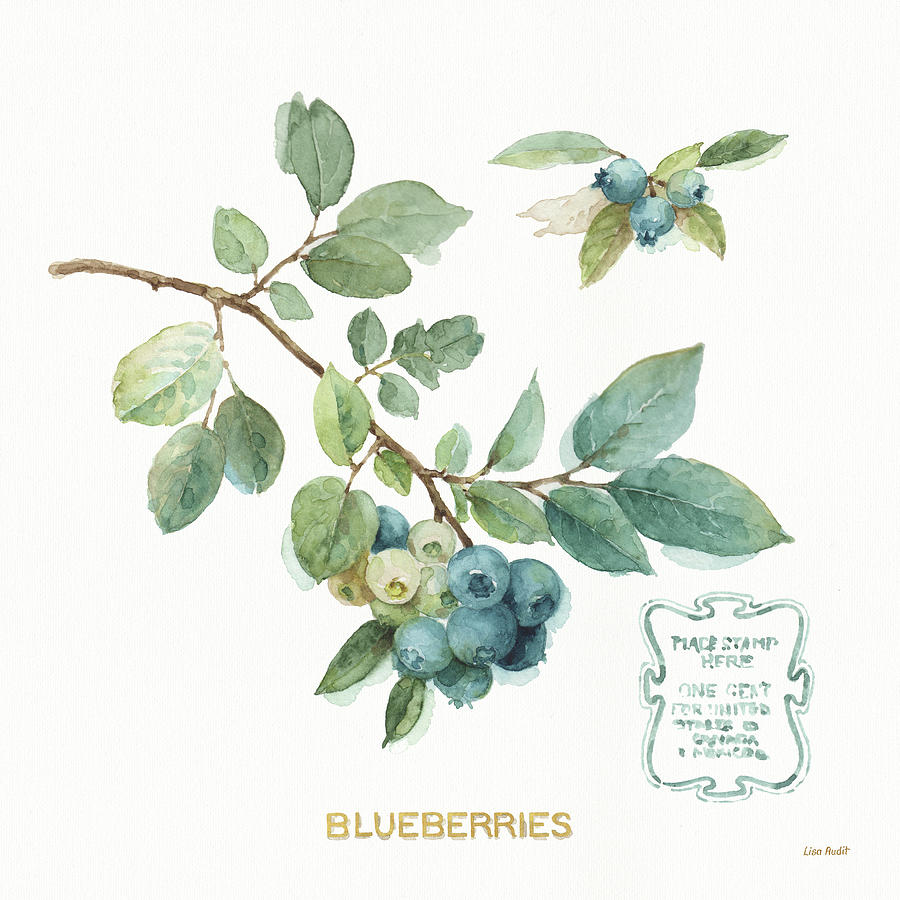 Blueberry Painting - My Greenhouse Fruit II by Lisa Audit
