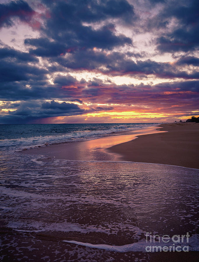 My Happy Place by Susan Garver My Happy Place by Susan Garver