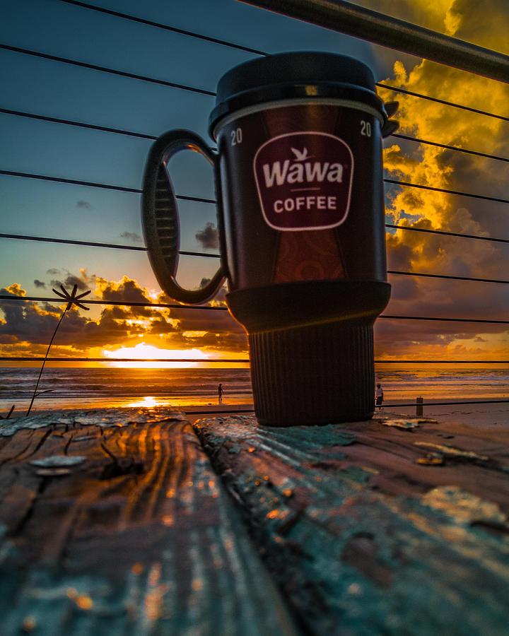 Morning Cup of Sunshine Photograph by Danny Mongosa