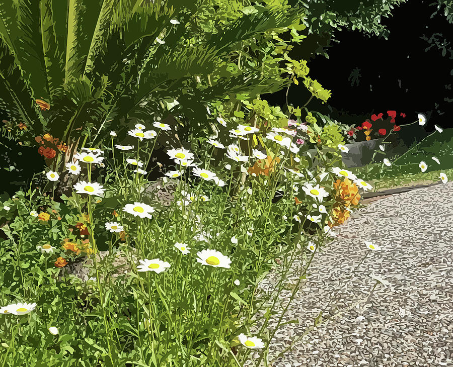 My Painted Garden by Clive Littin My Painted Garden by Clive Littin