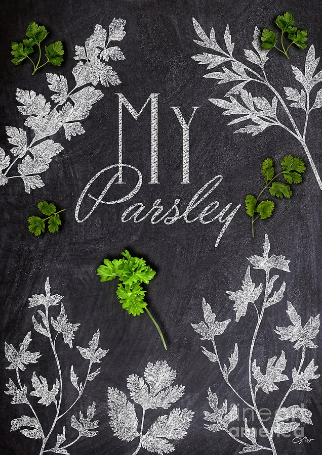 My Parsley Mixed Media by Mo T